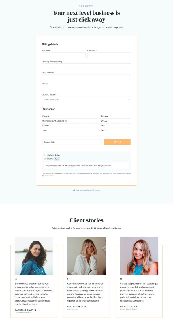 Business Consultant Checkout