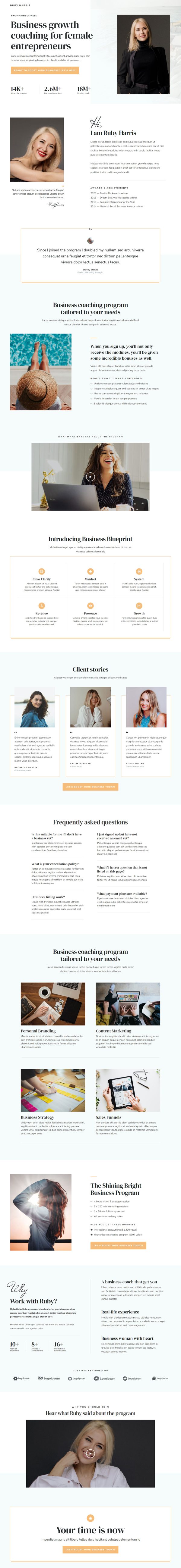 Business Consultant Sales Landing