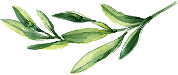 leaf-free-img